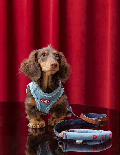 Pettorina a H regolabile anti-fuga con guinzaglio per cani