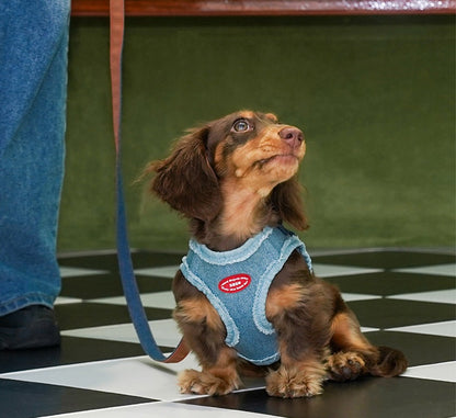 Pettorina a H regolabile anti-fuga con guinzaglio per cani