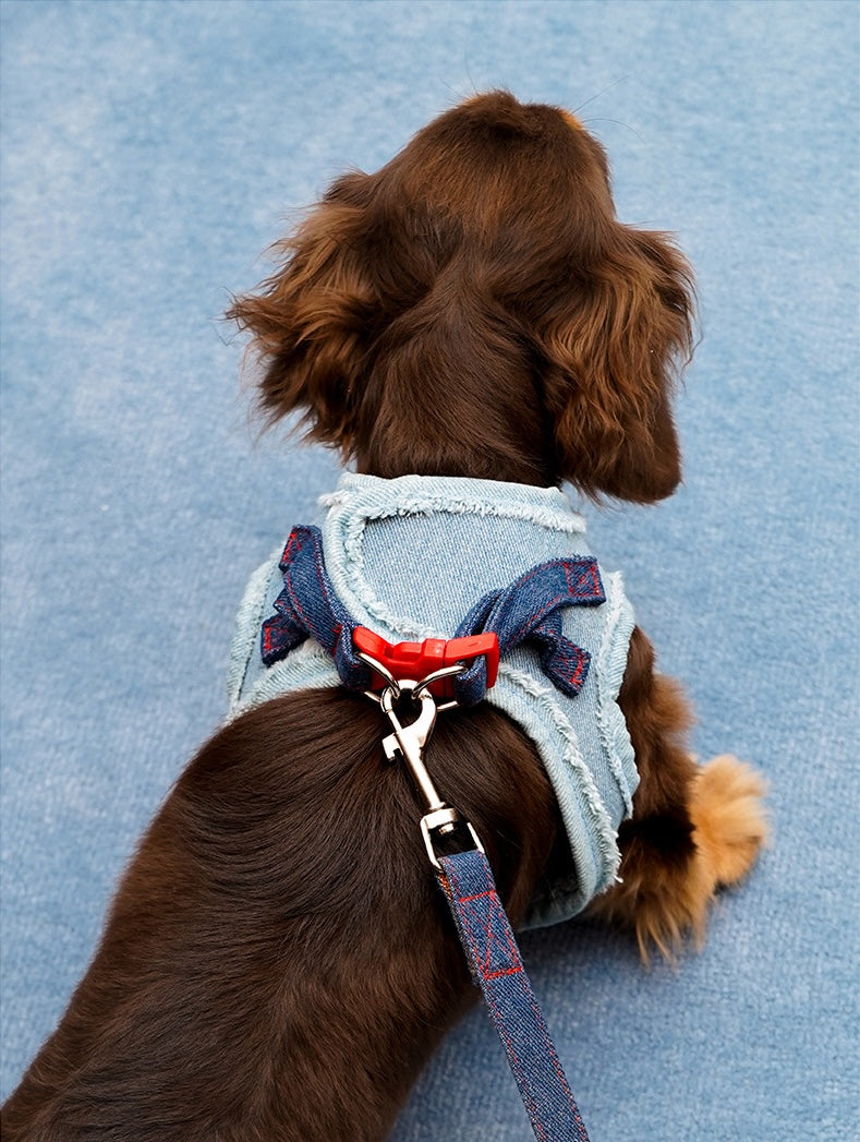 Pettorina a H regolabile anti-fuga con guinzaglio per cani