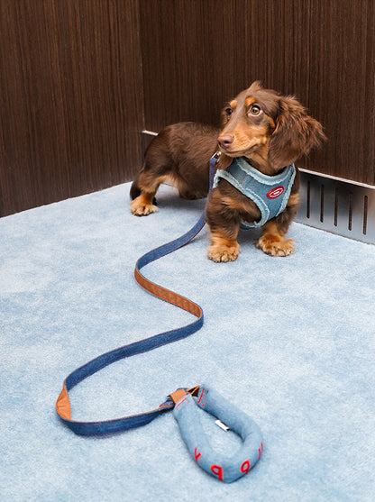 Pettorina a H regolabile anti-fuga con guinzaglio per cani