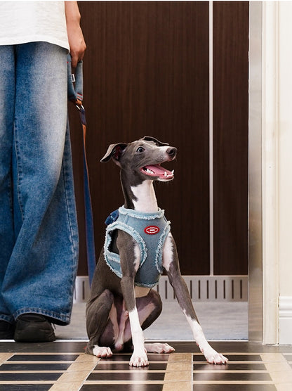Pettorina a H regolabile anti-fuga con guinzaglio per cani
