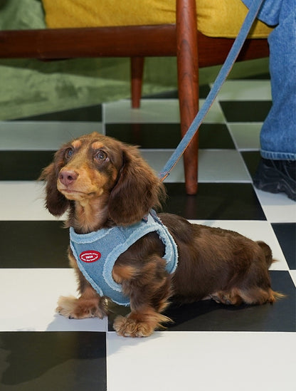 Pettorina a H regolabile anti-fuga con guinzaglio per cani